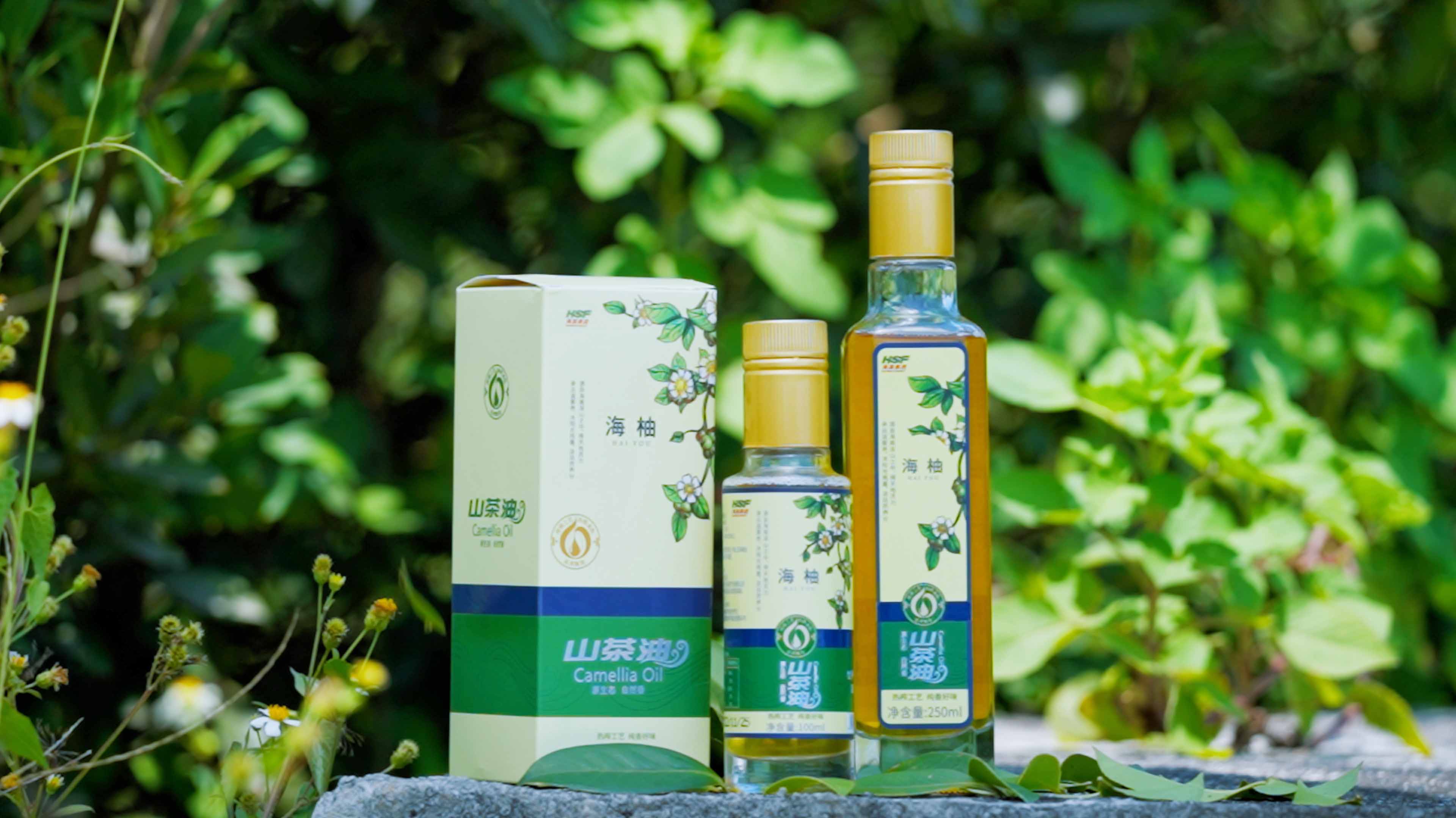 南宫国际乐香山茶油