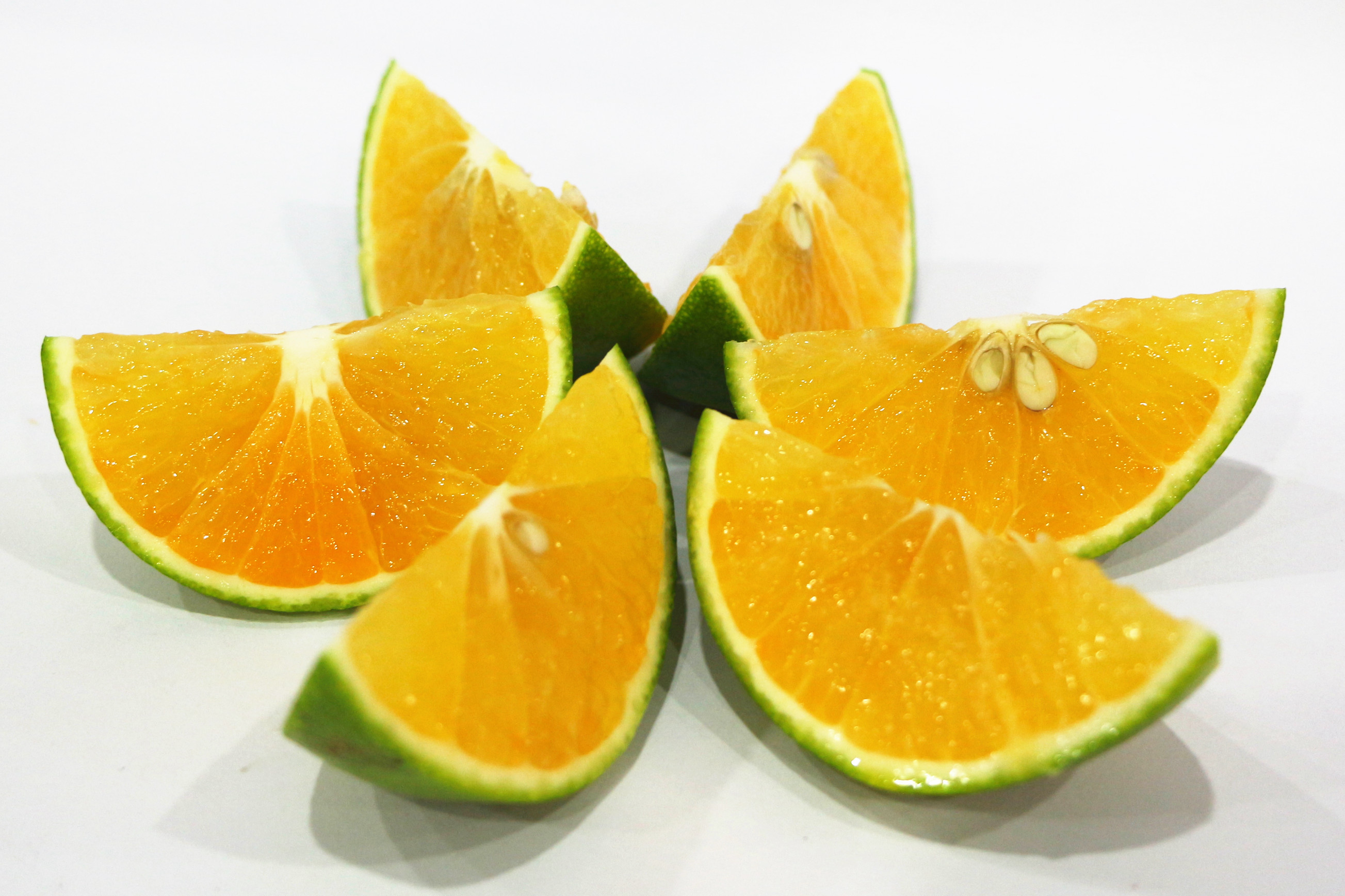 南宫国际鲜果福橙