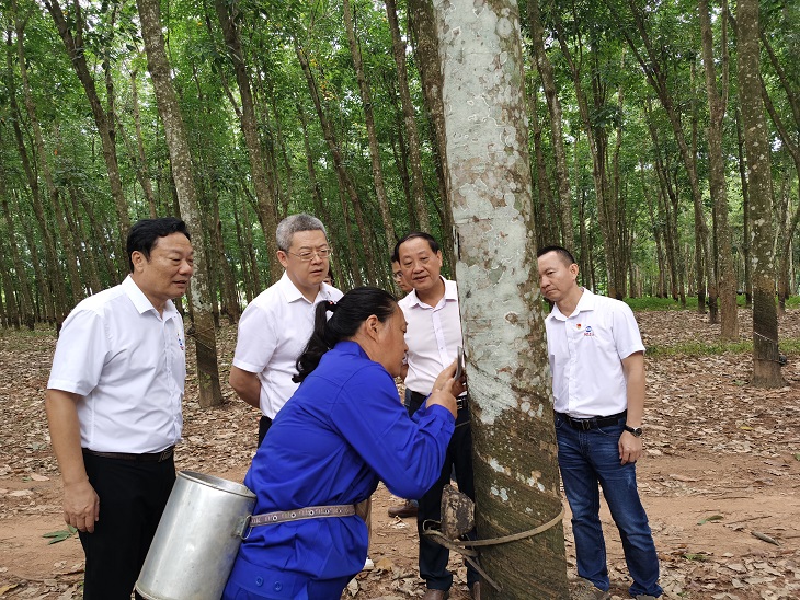 南宫国际(中国游)官方网站