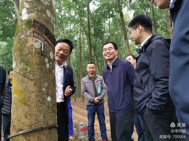 南宫国际(中国游)官方网站