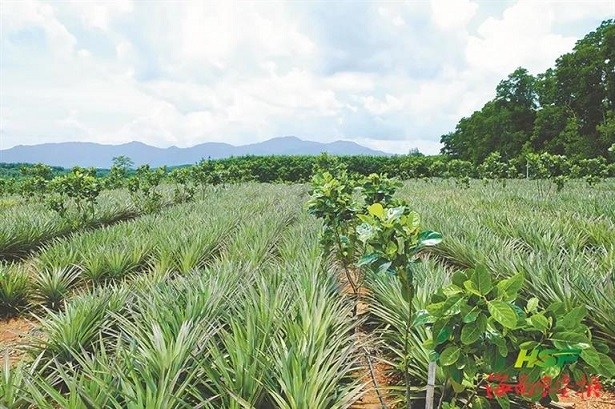 南宫国际(中国游)官方网站