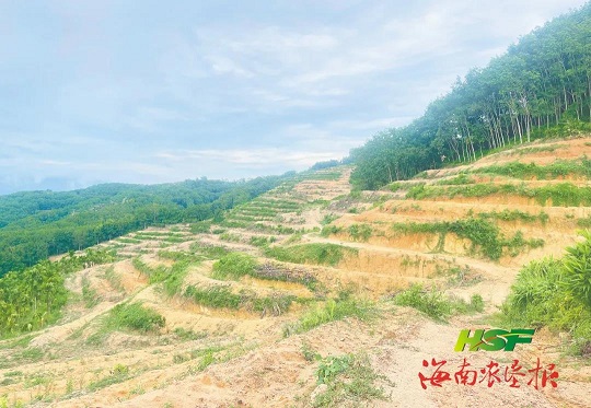 南宫国际(中国游)官方网站