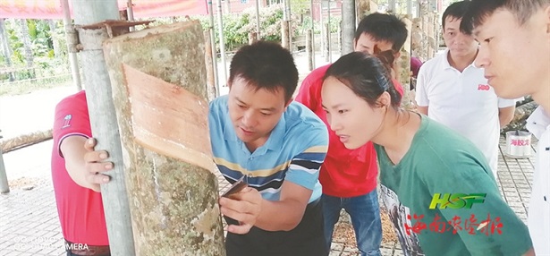 南宫国际(中国游)官方网站