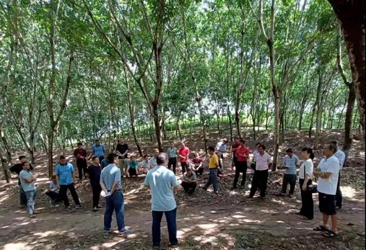 南宫国际(中国游)官方网站