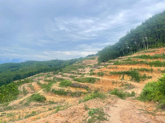 南宫国际(中国游)官方网站