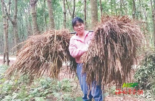 南宫国际(中国游)官方网站