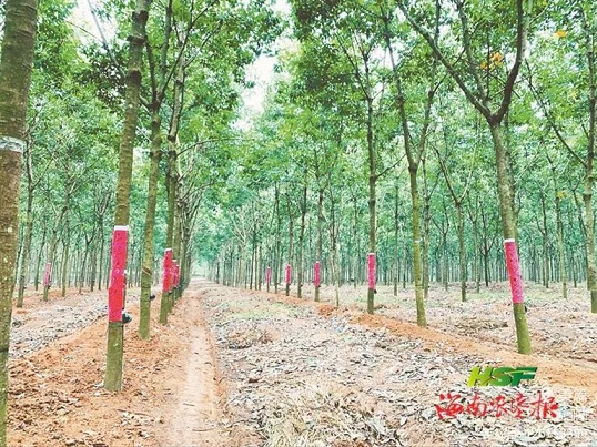 南宫国际(中国游)官方网站