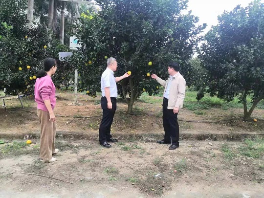 南宫国际(中国游)官方网站