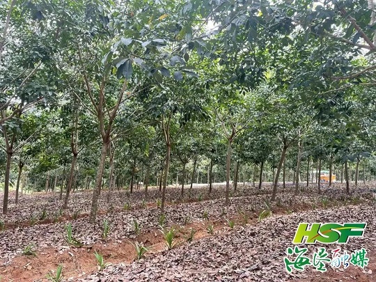 南宫国际(中国游)官方网站