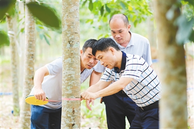 南宫国际(中国游)官方网站