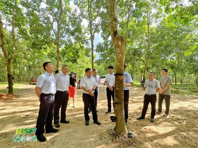 南宫国际(中国游)官方网站