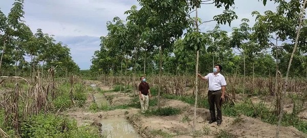 南宫国际(中国游)官方网站