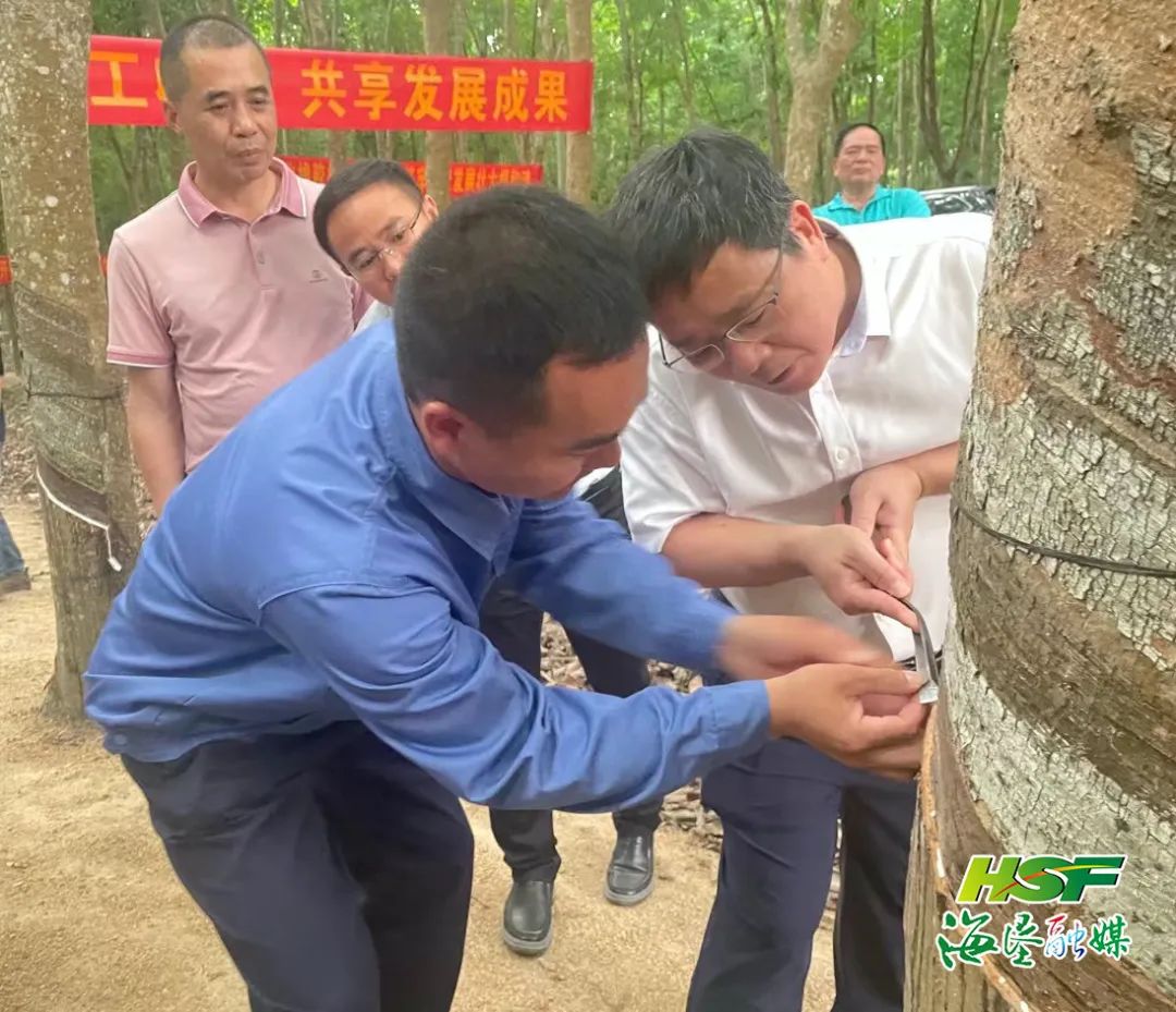 南宫国际(中国游)官方网站