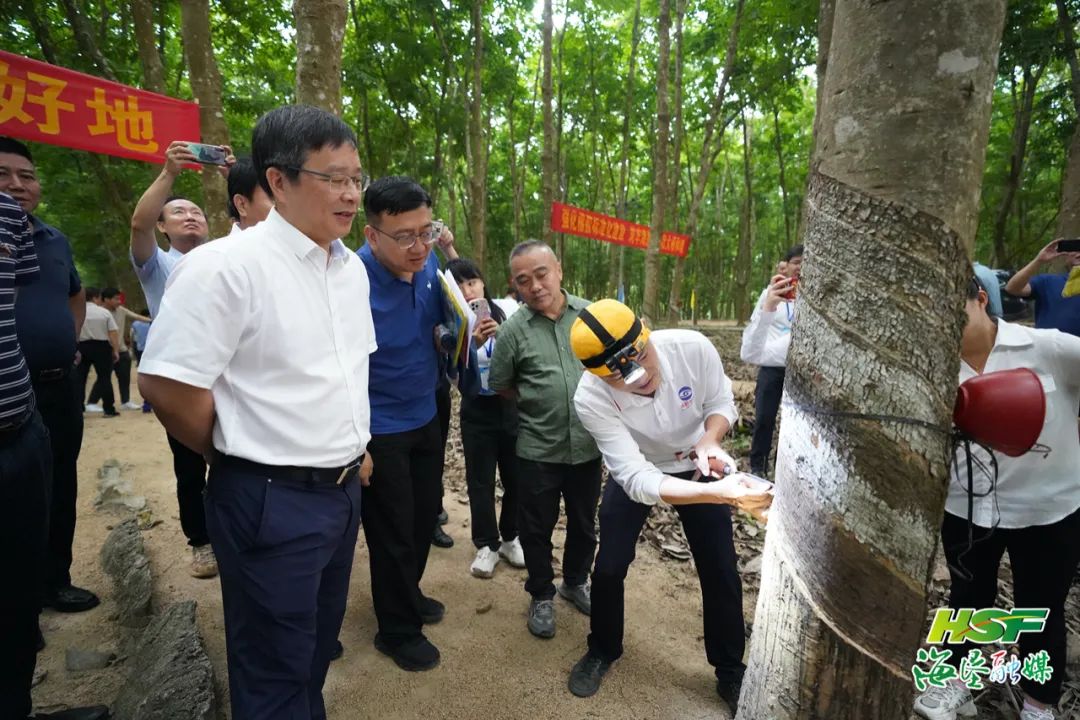 南宫国际(中国游)官方网站