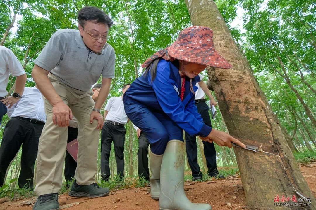 南宫国际(中国游)官方网站