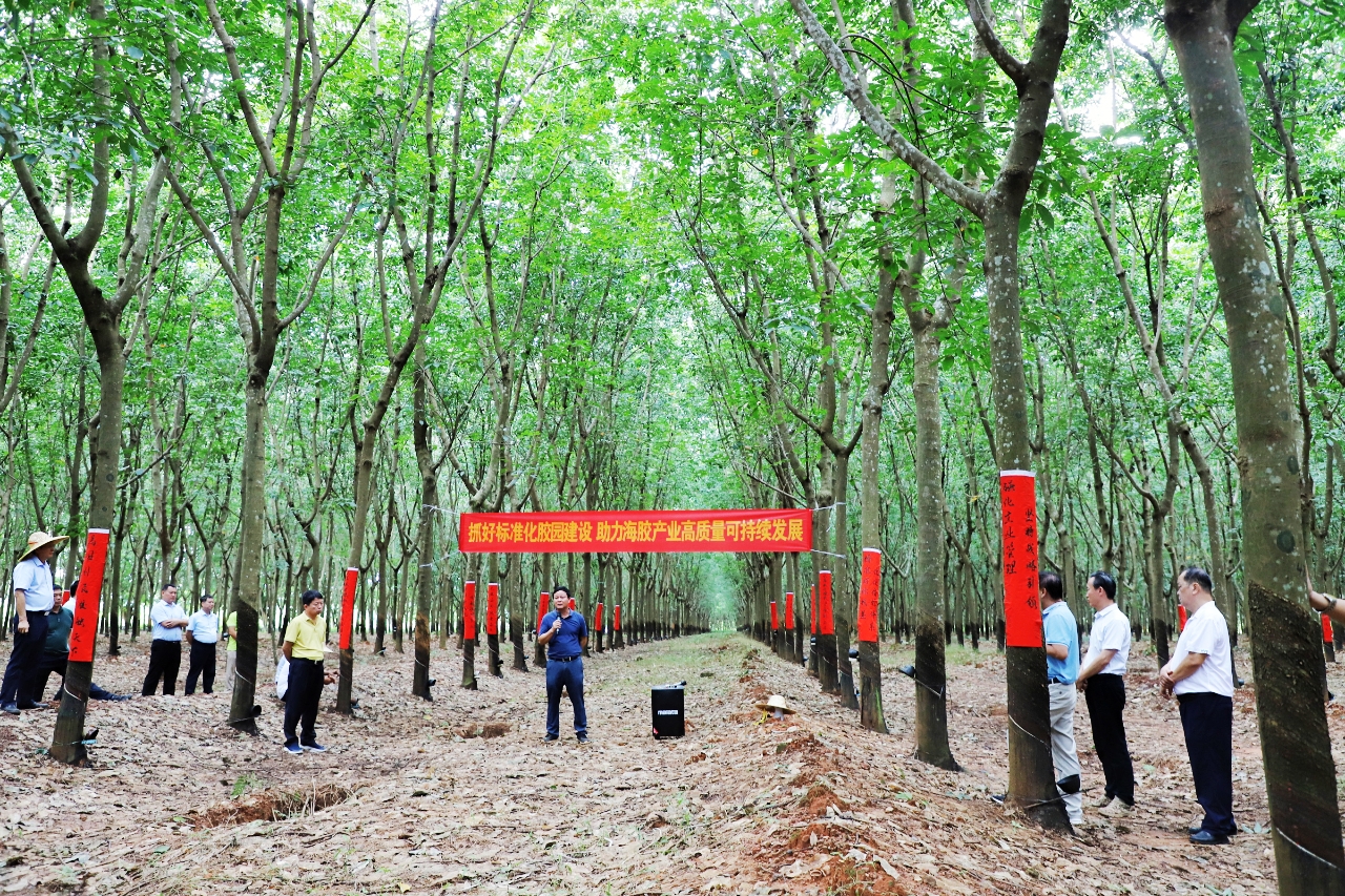 南宫国际(中国游)官方网站