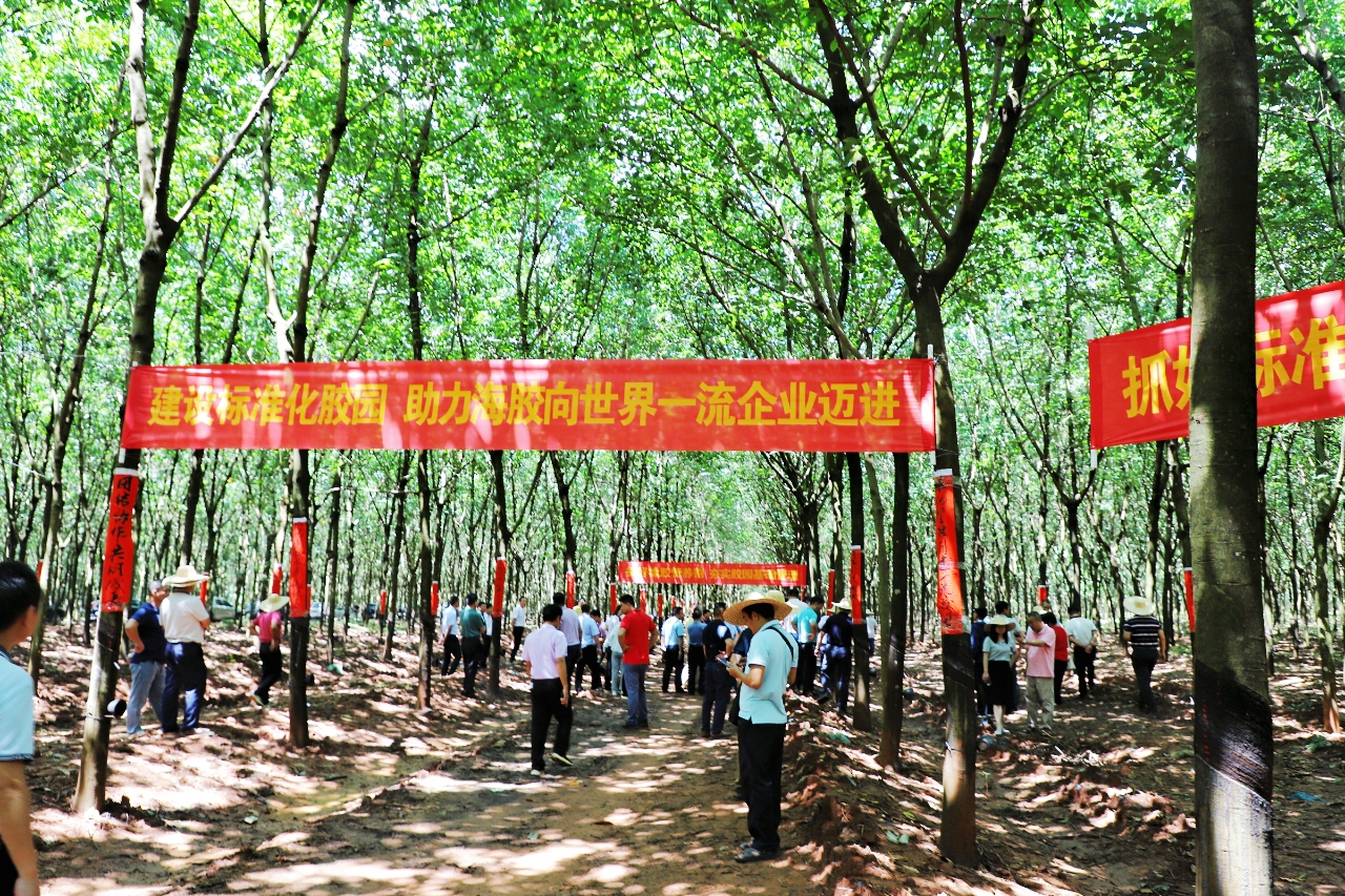 南宫国际(中国游)官方网站